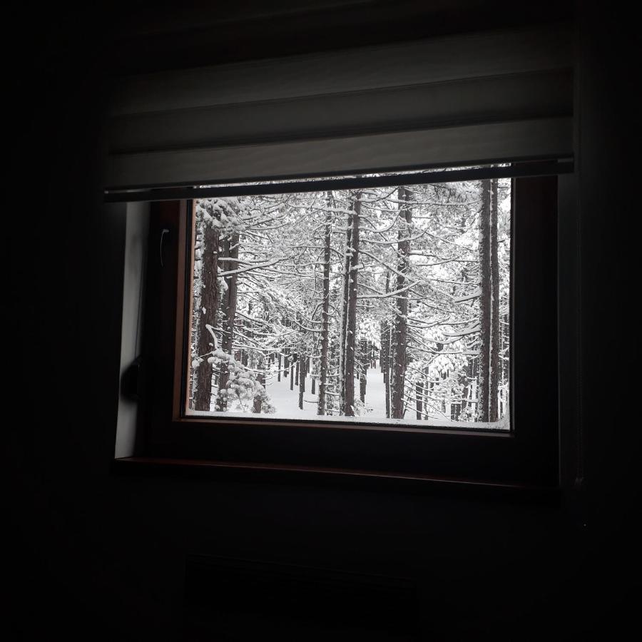 Apartman Pavle Zlatibor Exterior foto